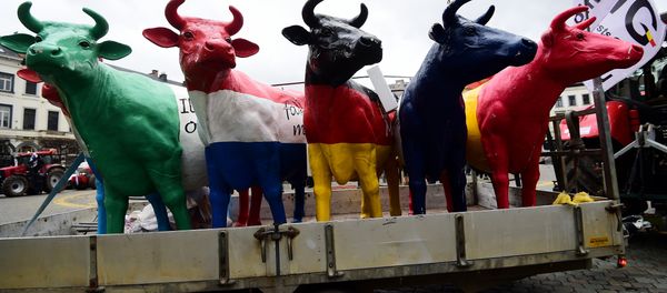 Fake cows brought by dairy farmers staging a demonstration stand in front of the European Parliament during a protest against the end of European milk quotas, in Brussels, March 31, 2015 - Sputnik International