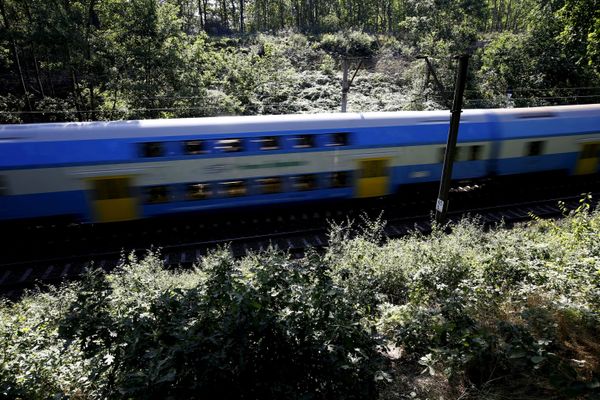 The Hunt for the Nazi Gold Train in Poland - Sputnik International