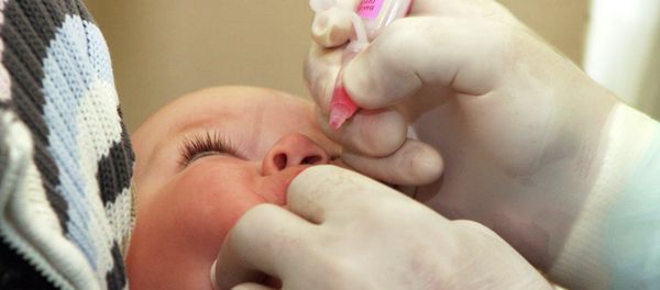 Children aged from 1 month to 17 years are vaccinated against poliomyelitis Children aged from 1 month to 17 years are vaccinated against poliomyelitis - Sputnik International