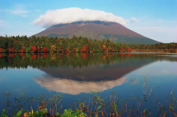 The nature of the Kuril islands - Sputnik International