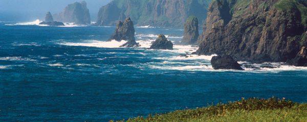 Rocks off Shikotan Island, aka Spanberg or Sikotan, in the Kurils - Sputnik International
