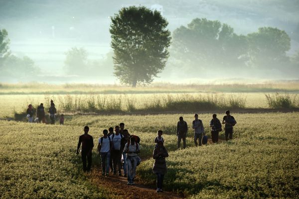 Migrants walk through a field to cross the border from Greece to Macedonia near the Greek village of Idomeni on August 29, 2015 - Sputnik International