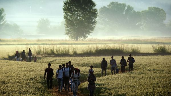 Migrants walk through a field to cross the border from Greece to Macedonia near the Greek village of Idomeni on August 29, 2015 - Sputnik International