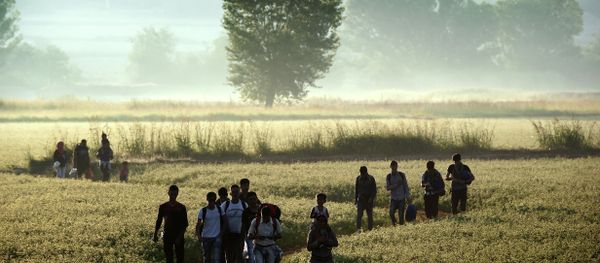 Migrants walk through a field to cross the border from Greece to Macedonia near the Greek village of Idomeni on August 29, 2015 Migrants walk through a field to cross the border from Greece to Macedonia near the Greek village of Idomeni on August 29, 2015 - Sputnik International