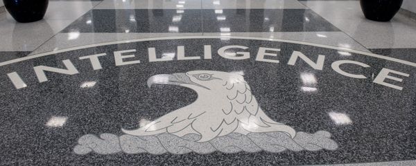 The Central Intelligence Agency (CIA) logo is displayed in the lobby of CIA Headquarters in Langley, Virginia, on August 14, 2008 The Central Intelligence Agency (CIA) logo is displayed in the lobby of CIA Headquarters in Langley, Virginia, on August 14, 2008 - Sputnik International