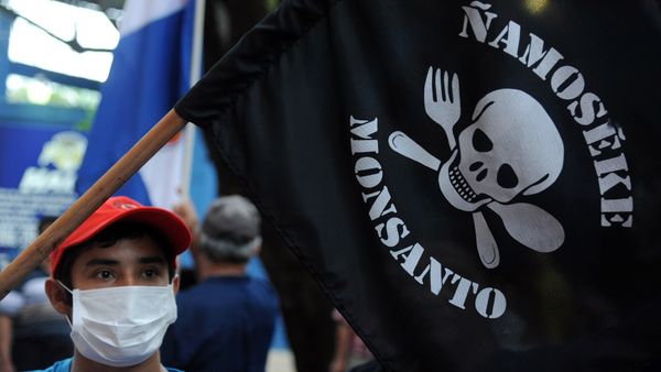 People demonstrate against the US biotechnology giant Monsanto and its genetically modified crops and pesticides, in Asuncion, on May 25, 2015 two days after thousands of people hit the streets in cities across the world to protest against the company. - Sputnik International