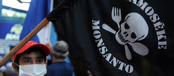 People demonstrate against the US biotechnology giant Monsanto and its genetically modified crops and pesticides, in Asuncion, on May 25, 2015 two days after thousands of people hit the streets in cities across the world to protest against the company. People demonstrate against the US biotechnology giant Monsanto and its genetically modified crops and pesticides, in Asuncion, on May 25, 2015 two days after thousands of people hit the streets in cities across the world to protest against the company. - Sputnik International