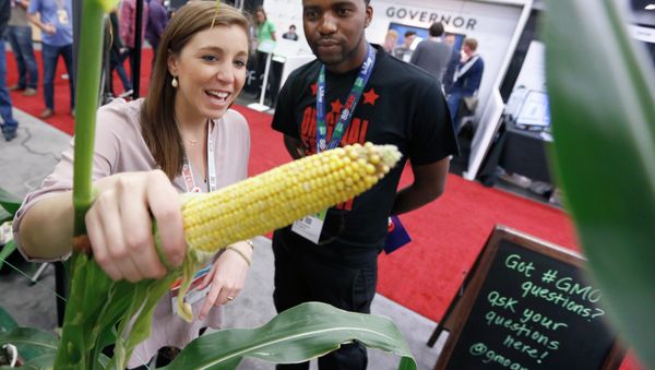 FILE- In this March 16, 2015, file photo, Chelsea Robinson of Monsanto answers questions from about corn for Mboswobeni Mulugana of Johannesburg, South Africa at the GMO Answers booth in Austin, Texas - Sputnik International