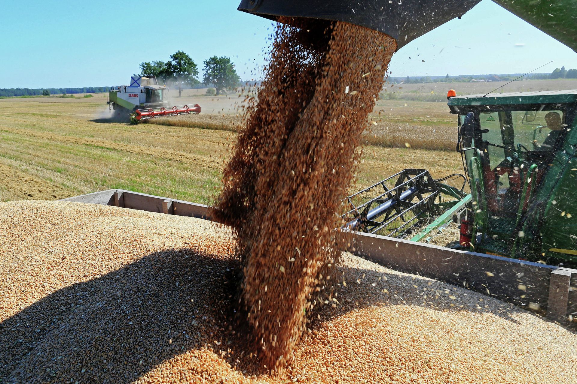 Wheat harvest in Russia's Kaliningrad Region - Sputnik International, 1920, 01.03.2022