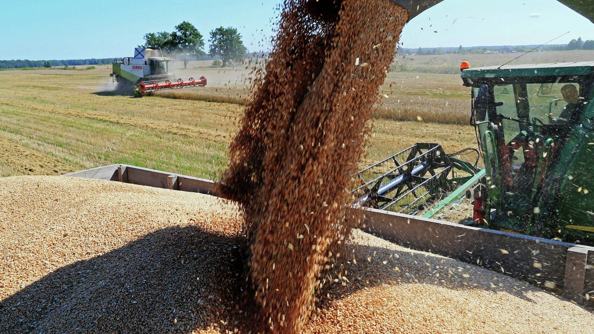 Wheat harvest in Russia's Kaliningrad Region Wheat harvest in Russia's Kaliningrad Region - Sputnik International, 1920, 11.01.2023
