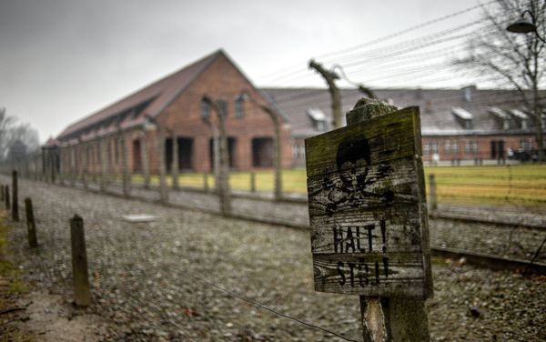 70th anniversary of Auschwitz liberation by Red Army 70th anniversary of Auschwitz liberation by Red Army - Sputnik International
