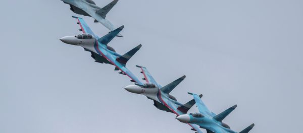 The 10th Russia Arms Expo international exhibition's opening The 10th Russia Arms Expo international exhibition's opening - Sputnik International