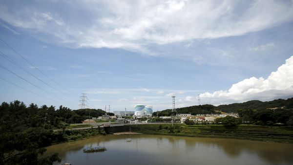 No.1 (L) and No.2 reactor buildings are pictured at Kyushu Electric Power's Sendai nuclear power station in Satsumasendai, Kagoshima prefecture, Japan, July 8, 2015. - Sputnik International