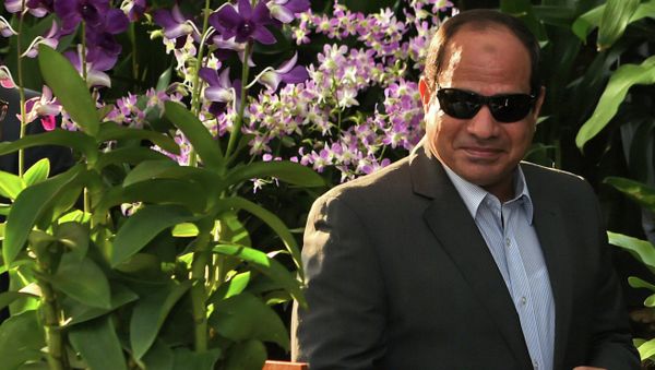 Egypt's President Abdel Fattah al-Sisi - Sputnik International