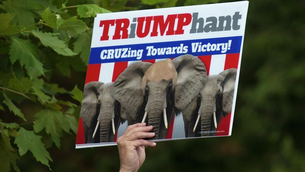 A supporter of US Republican Presidential hopeful Donald Trump - Sputnik International