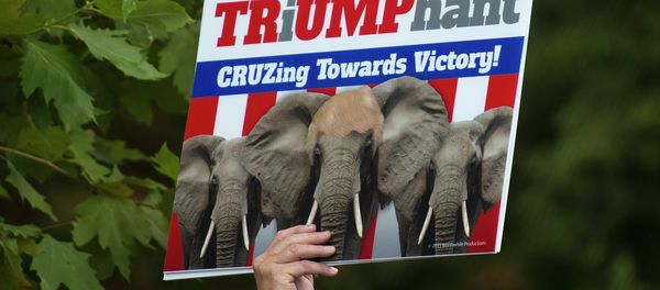 A supporter of US Republican Presidential hopeful Donald Trump - Sputnik International