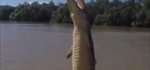 Crocodile Magic Crocodile Magic - Sputnik International
