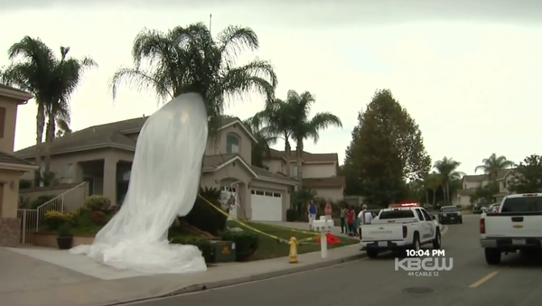 Giant Google Balloon Falls From Sky Onto Quiet SoCal Street - Sputnik International