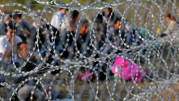 Migrants sit behind the barbed wire fence on the Serbian side of the border with Hungary in Asotthalom, September 15, 2015. - Sputnik International