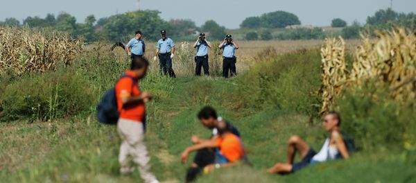 Croatian policemen observe a group of migrants on the border with Serbia near Tovarnik, Croatia September 16, 2015 - Sputnik International