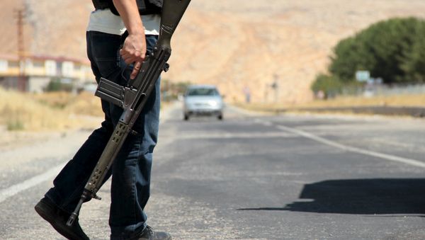 A member of the Turkish security forces A member of the Turkish security forces - Sputnik International