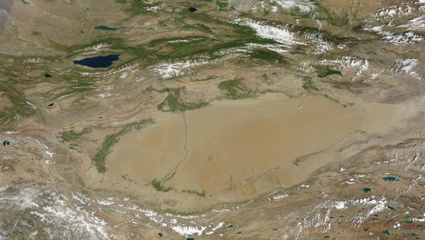 Tarim basin - Sputnik International