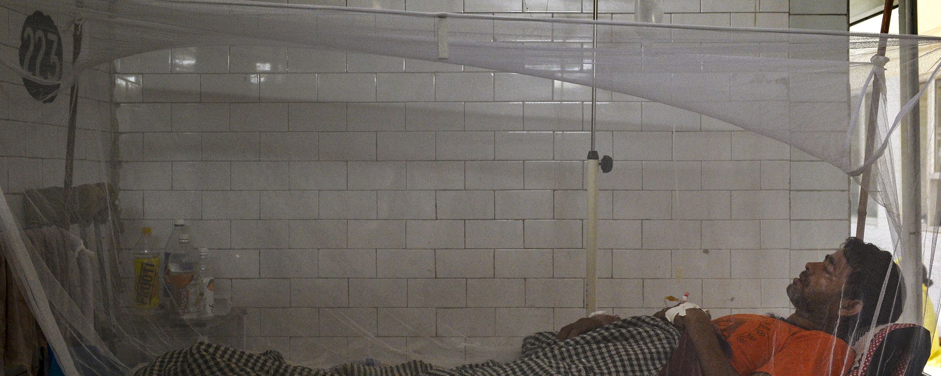 Indian patient lies in a bed covered with a mosquito net in a dengue ward of a government hospital in New Delhi Indian patient lies in a bed covered with a mosquito net in a dengue ward of a government hospital in New Delhi - Sputnik International, 1920, 01.11.2021