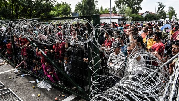 Refugees stand behind a fence at the Hungarian border with Serbia near the town of Horgos on September 16, 2015 Refugees stand behind a fence at the Hungarian border with Serbia near the town of Horgos on September 16, 2015 - Sputnik International