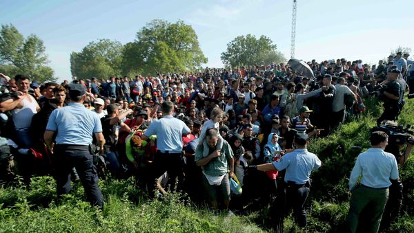 Policemen direct migrants during a stampede to board a bus in Tovarnik, Croatia September 17, 2015 Policemen direct migrants during a stampede to board a bus in Tovarnik, Croatia September 17, 2015 - Sputnik International
