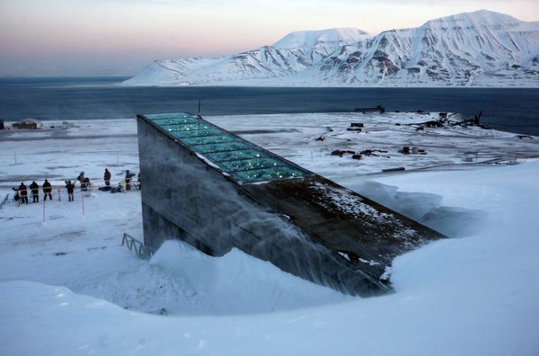 Snow blows off the Svalbard Global Seed Vault before being inaugurated at sunrise Snow blows off the Svalbard Global Seed Vault before being inaugurated at sunrise - Sputnik International