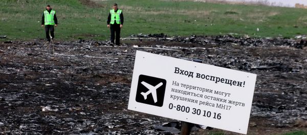 A sign on the crash site of the Malaysia Airlines flight MH17 Boeing en route from Amsterdam to Kuala Lumpur A sign on the crash site of the Malaysia Airlines flight MH17 Boeing en route from Amsterdam to Kuala Lumpur - Sputnik International