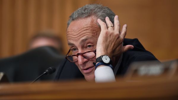 Sen. Charles Schumer - Sputnik International