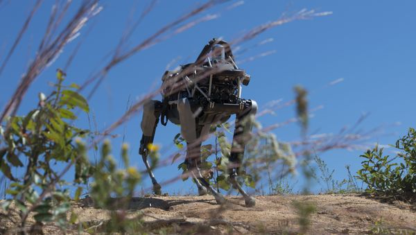 Spot the robot dog during training - Sputnik International