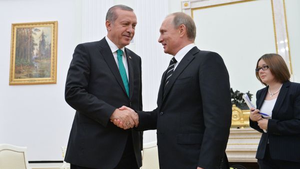 President Vladimir Putin meets with President of Turkey Recep Erdogan - Sputnik International