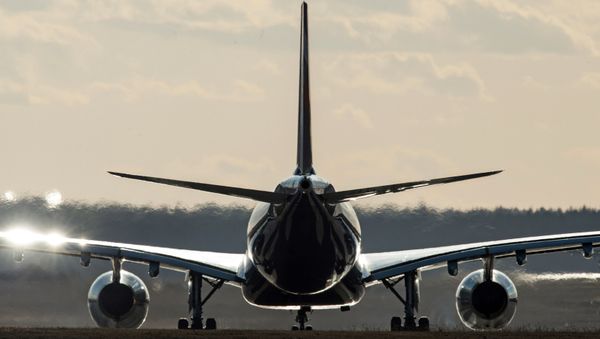 An Airbus A330 passenger airliner - Sputnik International