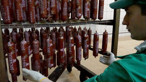 An employee at work at the Kolyada sausage factory in the Kaliningrad region An employee at work at the Kolyada sausage factory in the Kaliningrad region - Sputnik International