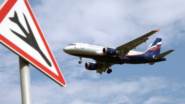An Airbus A319 passenger aircraft of the Aeroflot company. - Sputnik International