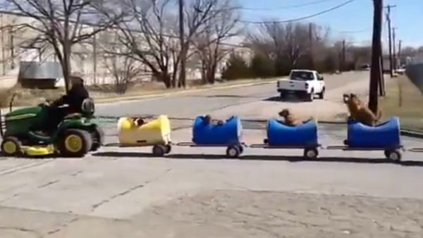 Man Drives Canine Companions in Home-Made Train - Sputnik International