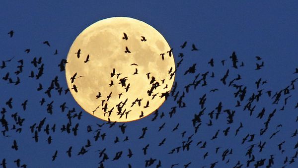 Суперлуние в Белоруссии  - Sputnik International