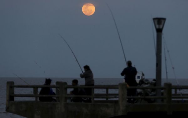 A supermoon rises in the sky over the Rio de La Plata in Buenos Aires, Argentina, September 27, 2015 A supermoon rises in the sky over the Rio de La Plata in Buenos Aires, Argentina, September 27, 2015 - Sputnik International