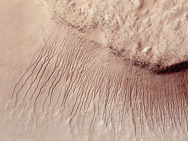 Portions of the Martian surface shot by NASA's Mars Reconnaissance Orbiter show many channels from 1 meter to 10 meters wide on a scarp in the Hellas impact basin, in this photograph taken January 14, 2011 and released by NASA March 9, 2011. Scientists have found the first evidence that briny water may flow on the surface of Mars during the planet's summer months, a paper published on Monday showed Portions of the Martian surface shot by NASA's Mars Reconnaissance Orbiter show many channels from 1 meter to 10 meters wide on a scarp in the Hellas impact basin, in this photograph taken January 14, 2011 and released by NASA March 9, 2011. Scientists have found the first evidence that briny water may flow on the surface of Mars during the planet's summer months, a paper published on Monday showed - Sputnik International