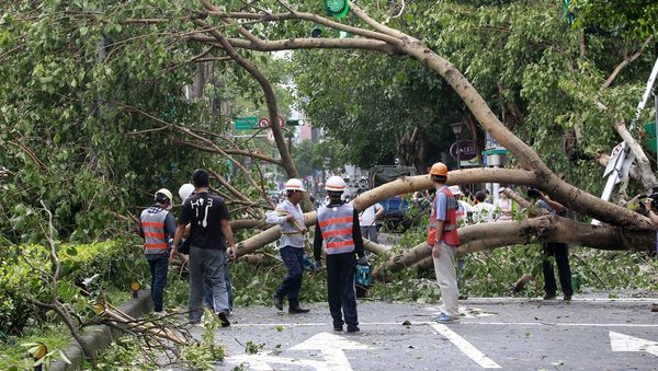 Workers remove trees uprooted by strong winds from Typhoon Dujuan, in Taipei, Taiwan, September 29, 2015 Workers remove trees uprooted by strong winds from Typhoon Dujuan, in Taipei, Taiwan, September 29, 2015 - Sputnik International