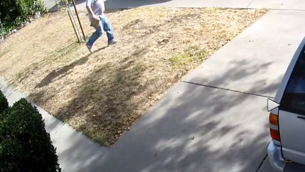 Instant Karma: Package Thief Has Bag Stolen - Sputnik International