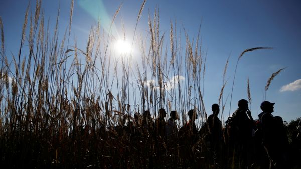 A group of migrants waits in line to be escorted to a train after crossing thee border from Croatia near the village of Zakany, Hungary, Wednesday, Sept. 23, 2015. - Sputnik International