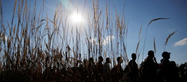 A group of migrants waits in line to be escorted to a train after crossing the border from Croatia near the village of Zakany, Hungary, Wednesday, Sept. 23, 2015. - Sputnik International