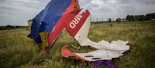 Russia’s results of a separate probe into the MH17 crash would be taken into consideration, the Malaysian minister of transport said. Russia’s results of a separate probe into the MH17 crash would be taken into consideration, the Malaysian minister of transport said. - Sputnik International