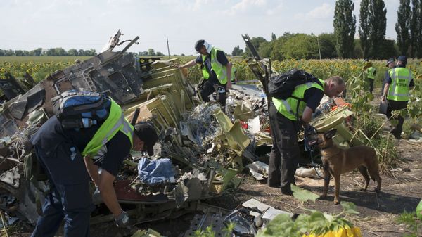 Australian, Malaysian and Dutch investigators examine pieces of the downed Malaysia Airlines Flight 17 plane, near the village of Rossipne, Donetsk region, eastern Ukraine - Sputnik International
