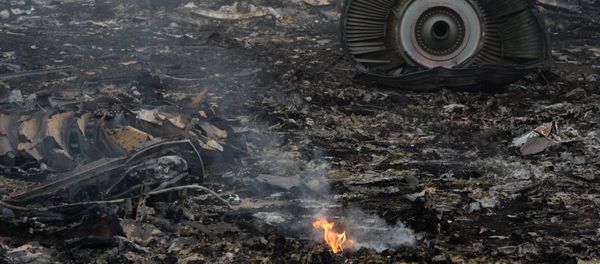 Boeing 777 crash site in Donetsk Boeing 777 crash site in Donetsk - Sputnik International