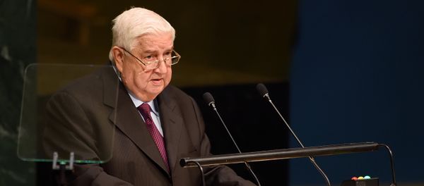 Syria's Foreign Minister Walid Muallem Syria's Foreign Minister Walid Muallem - Sputnik International