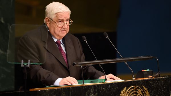 Syria's Foreign Minister Walid Muallem - Sputnik International
